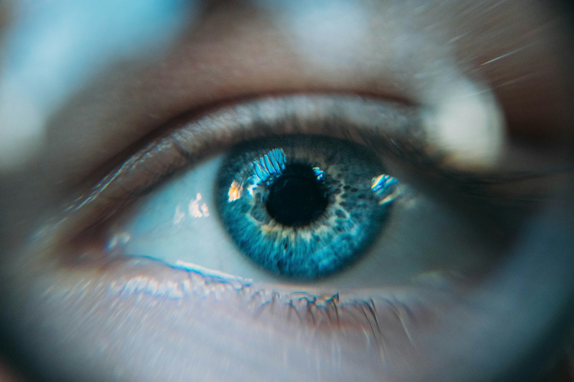 Our Vision